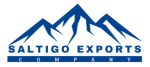 saltigoexports.com